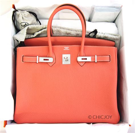 hermes birkin crevette